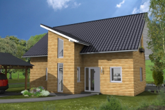 EFH_111_Eingang