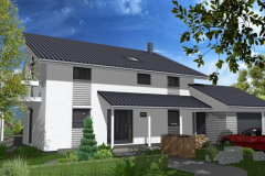 Pultdachhaus_101_Eingang