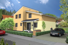 Pultdachhaus_3_Eingang